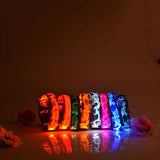 Safety Glowing Pet Collar With LED By Project Pet Lovers Club