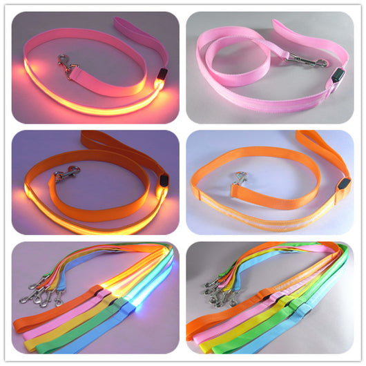 Safety Pet Leash With LED By Project Pet Lovers Club