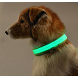Safety Glowing Pet Collar With LED By Project Pet Lovers Club
