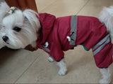 Cute Dog Hoodie Raincoat