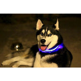 Safety Pet Collar With LED And Printed Design By Project Pet Lovers Club